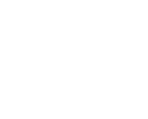 Black Dog Animal Rescue Black Dog Animals Rescue