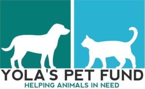 Yola's Pet Fund Yola's Pet Fund